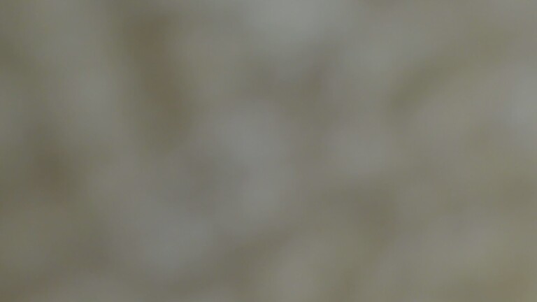 Adrianna_4u's Streamate show and profile