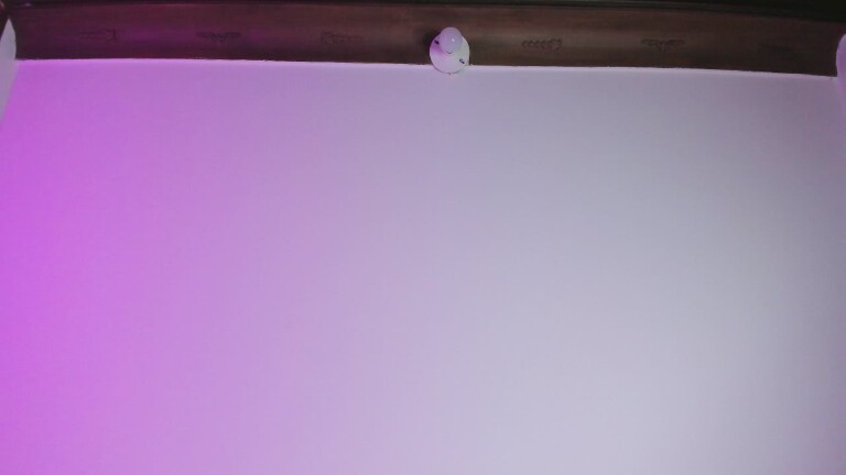 AuraRosse's Streamate show and profile