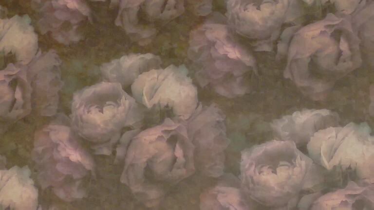 AriaBennet's Streamate show and profile